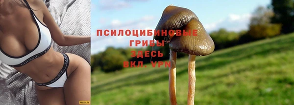 крисы Абинск