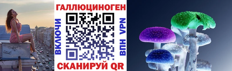 купить   Звенигород  Псилоцибиновые грибы мицелий 
